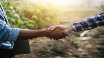 Business Networking & Liasoning