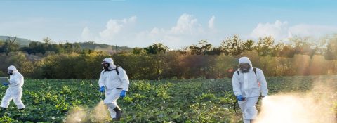 Harvesting the Best Talent